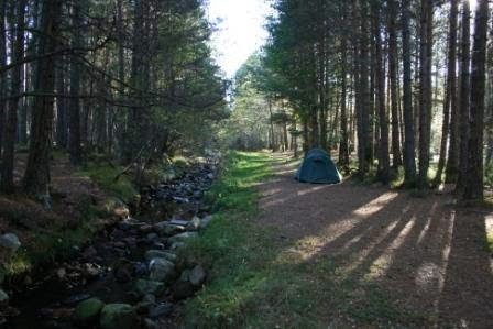 Rothiemurchus Camp & Caravan Park