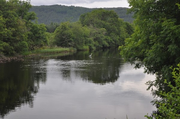 Riverside Chalets and Caravan Park