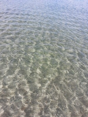 Camusdarach Campsite