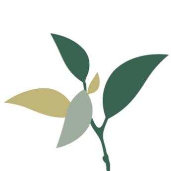 Pear Tree Holiday Park