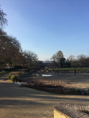 Bishop's Park