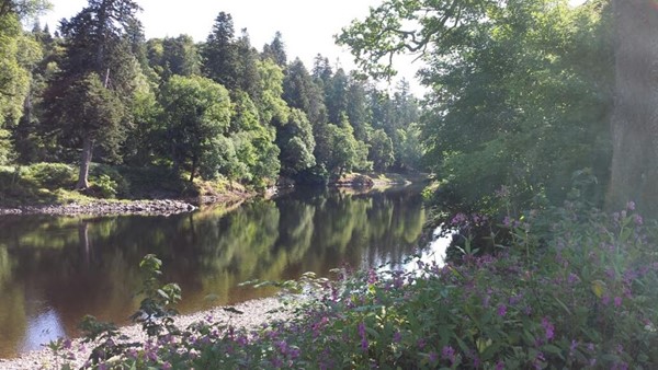 Inver Mill Farm Caravan Park