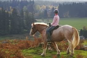 Alvie & Dalraddy Estates