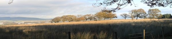 Palacerigg Country Park