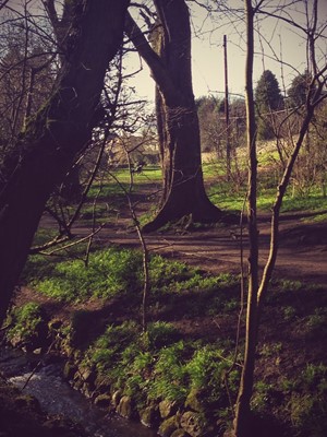 Braidburn Valley Park