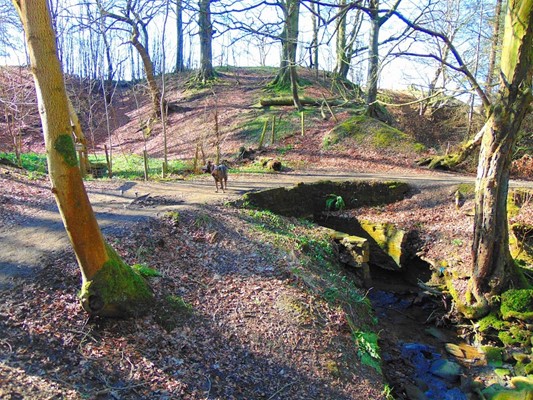 Chatelherault Country Park
