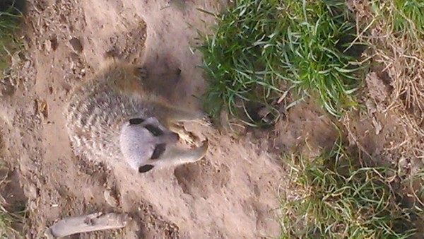 Heads Of Ayr Farm Park Llp