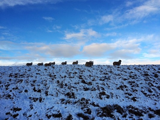 Kielder Water & Forest Park