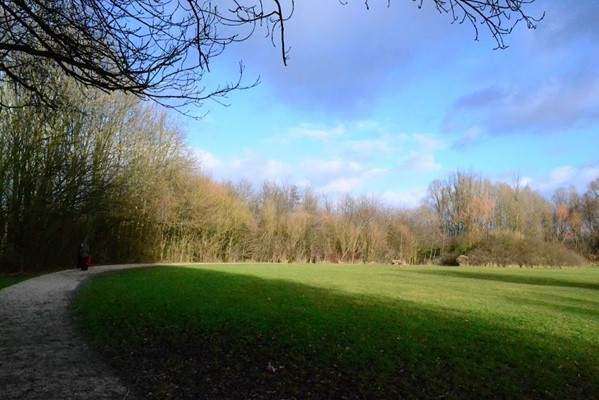 Colwick Country Park