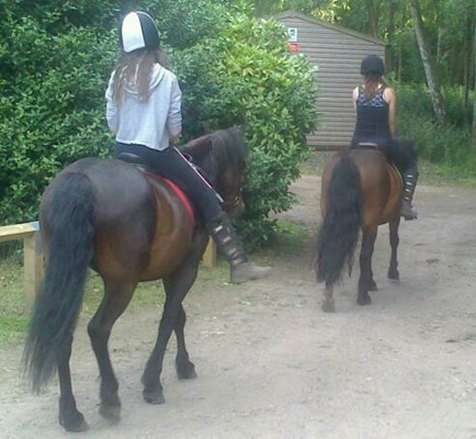 Bestwood Country Park