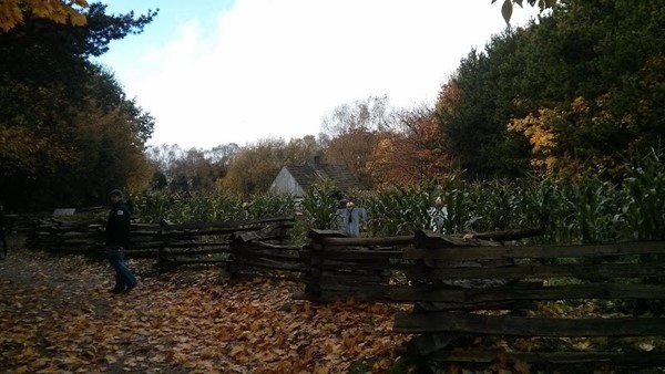 Ulster American Folk Park