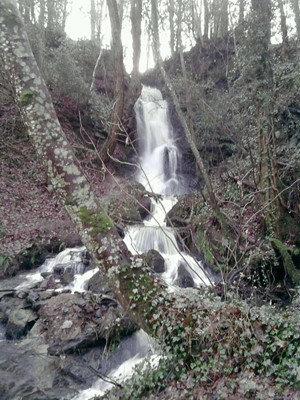 Roe Valley Country Park