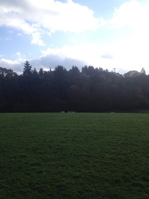 Parkanaur Forest Park