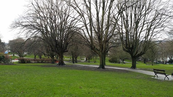 Saint Andrew's Park