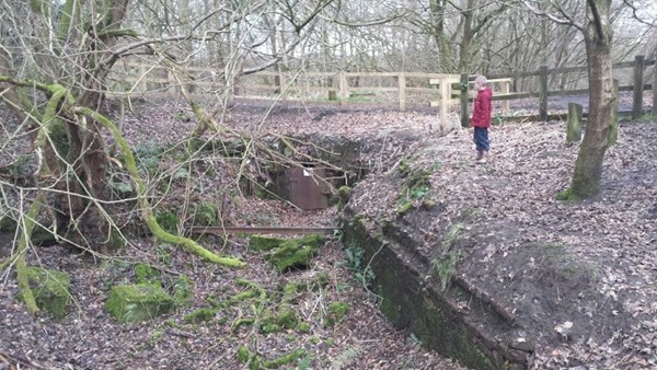 Clifton Country Park