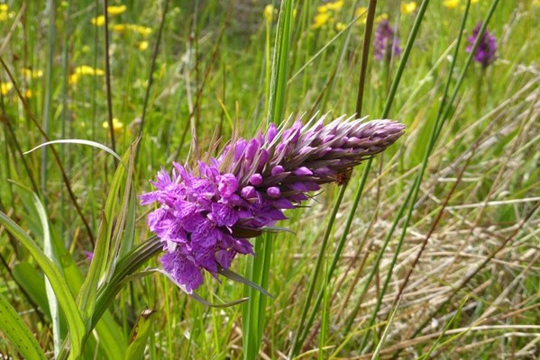 Anglers Country Park