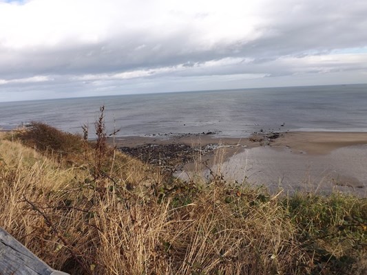 Crimdon Dene Holiday Park