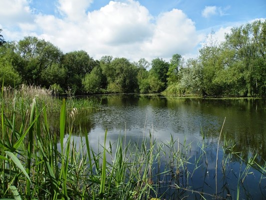 Kingsbury Water Park, Sutton Coldfield