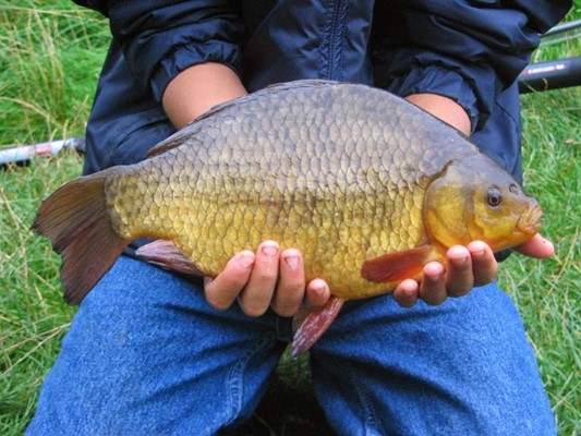 Kingsbury Water Park
