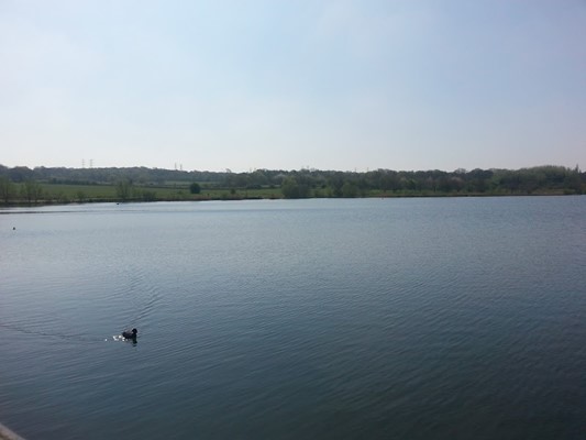 Sandwell Valley Country Park