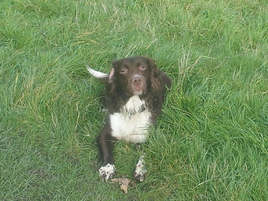 Shipley Country Park