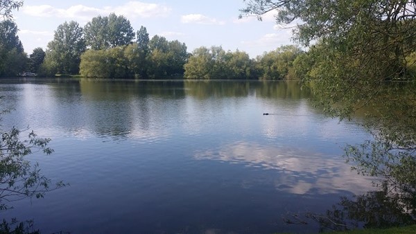 Emberton Country Park