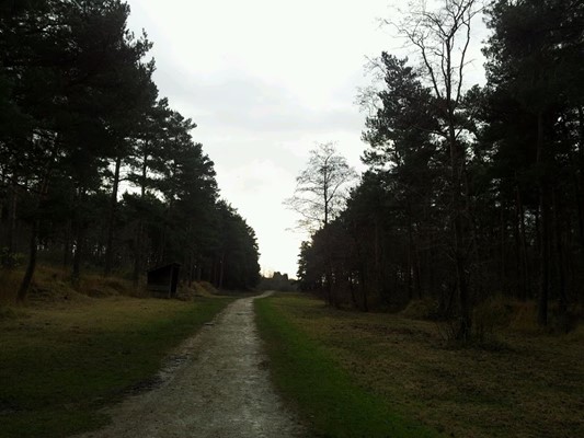 Irchester Country Park