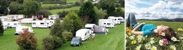 Blackmore Vale Caravan & Camping Park Ltd