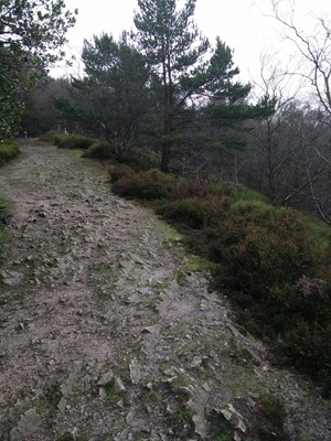 Lickey Hills Country Park