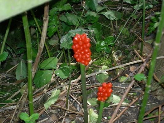 Watermead Country Park