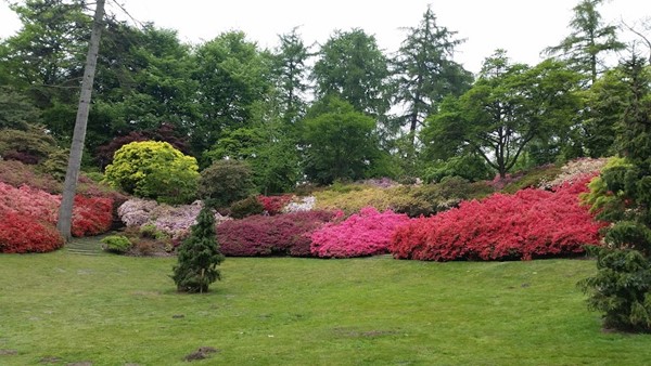 Valley Gardens Car Park