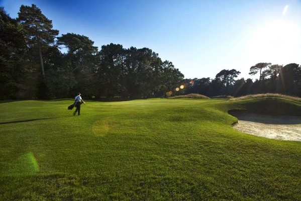 The Club at Meyrick Park