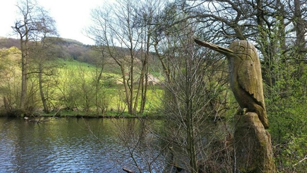 Etherow Country Park