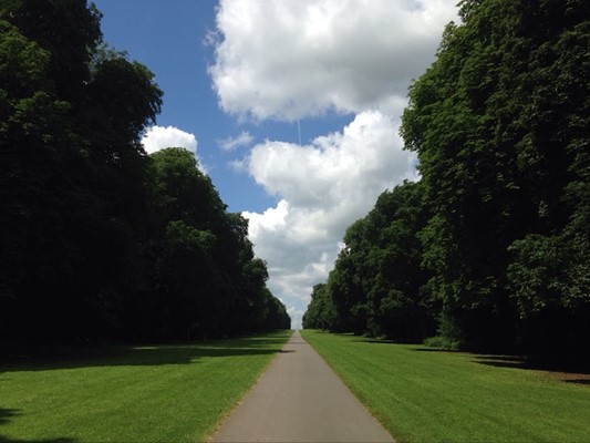 Cirencester Park