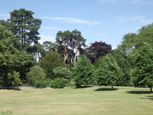 Sandringham Country Park