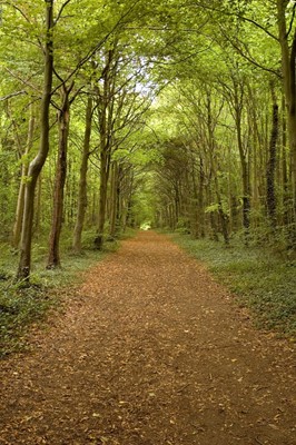 Wandlebury Country Park