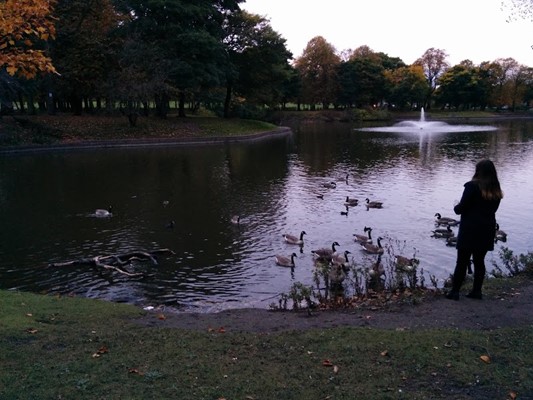 Newsham Park