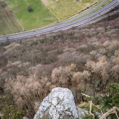 Kinnoull Hill Woodland Park