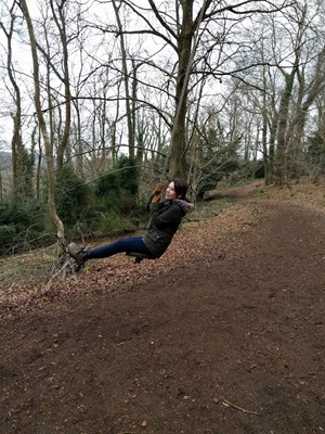 National Trust - Woodchester Park