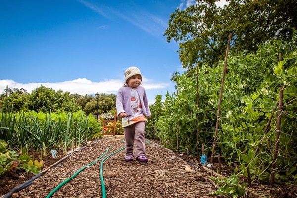 Old Down Country Park