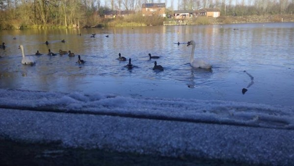 Daventry Country Park