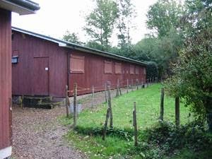 Hamlet Wood Scout Campsite