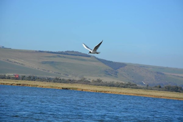 Seven Sisters Country Park