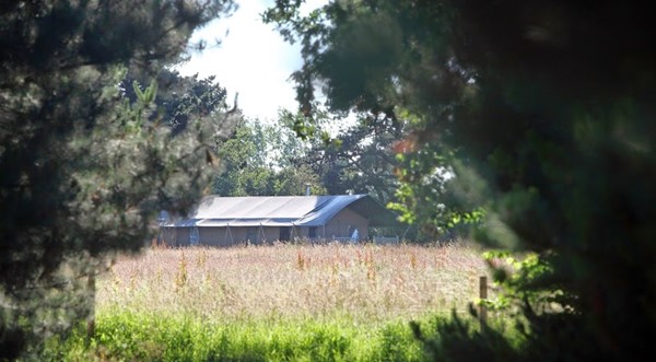 Wild Luxury - The Norfolk Glamping Company
