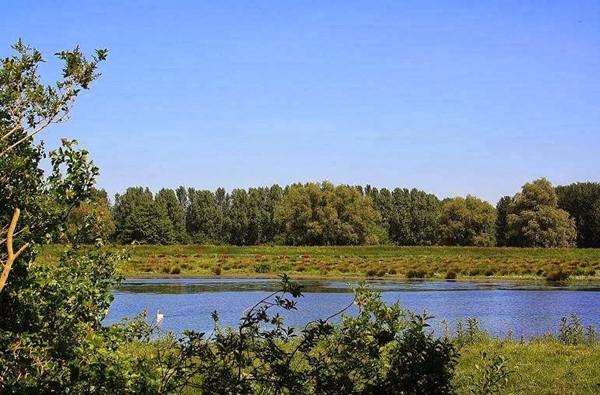 Karma Farm Eco Campsite