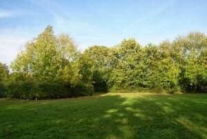 Dogwood Cottage Campsite