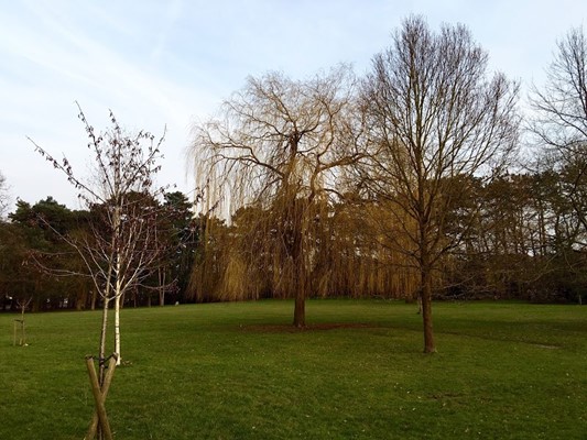 Pinner Memorial Park