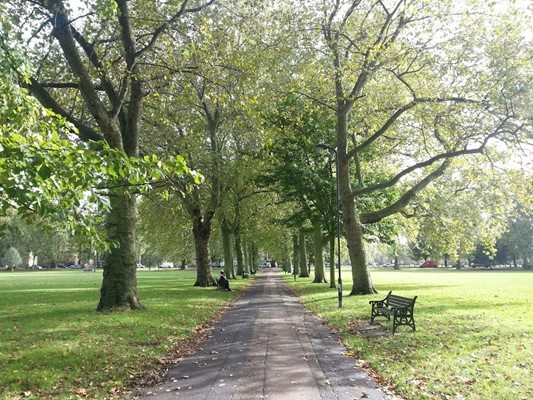 Millfields Park