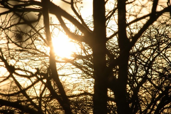 Hornchurch Country Park