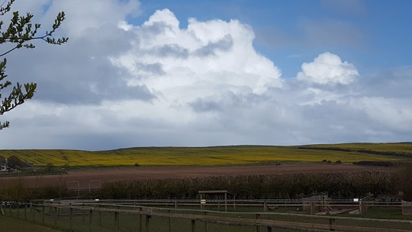Filey Bird Garden and Animal Park